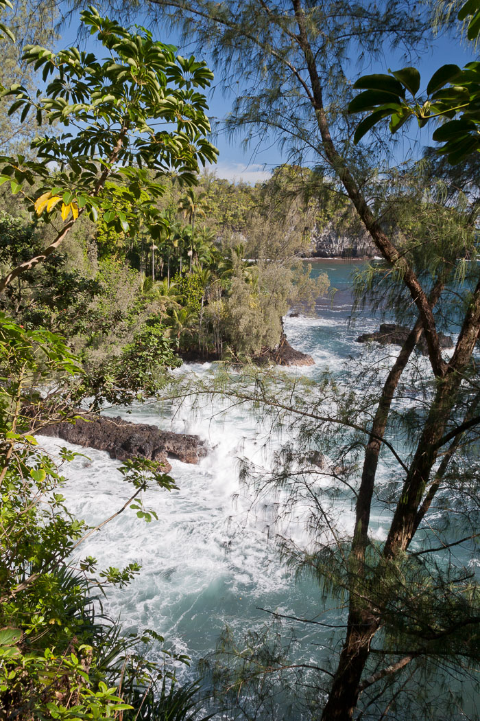 North Kohala, Hāmākua,Hāmākua, North Hilo Districts North Kohala, Hāmākua,Hāmākua, North Hilo Districts