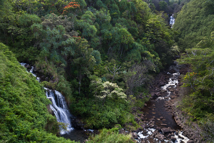 North Kohala, Hāmākua,Hāmākua, North Hilo Districts North Kohala, Hāmākua,Hāmākua, North Hilo Districts