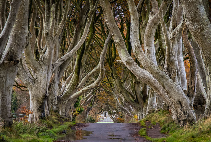 Northern Ireland Northern Ireland
