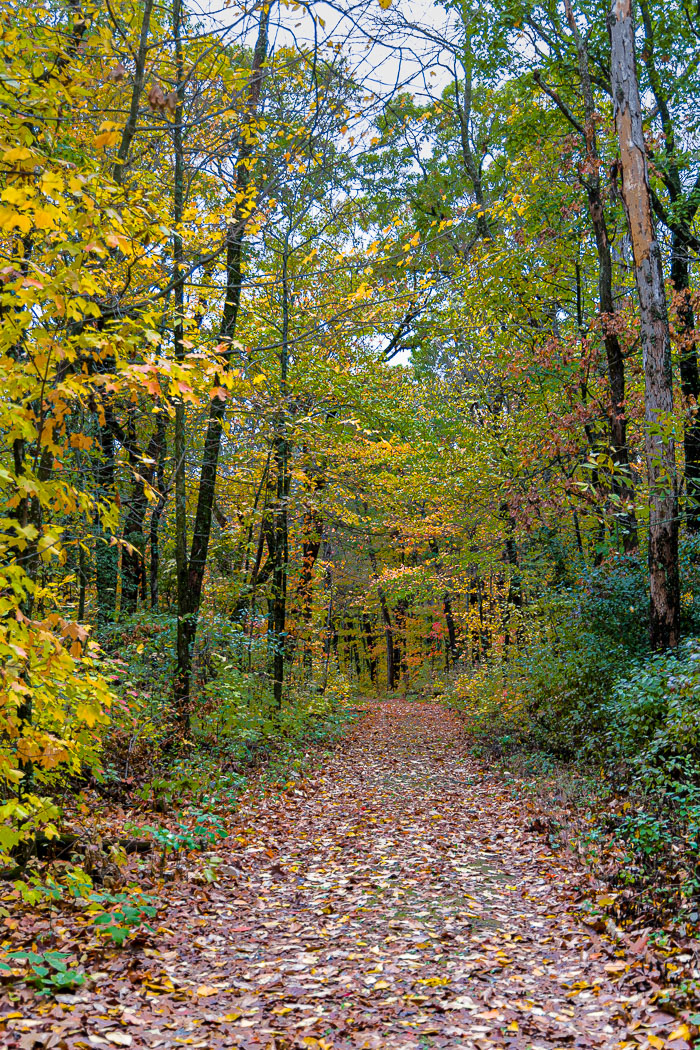 Devil's Lake State Park