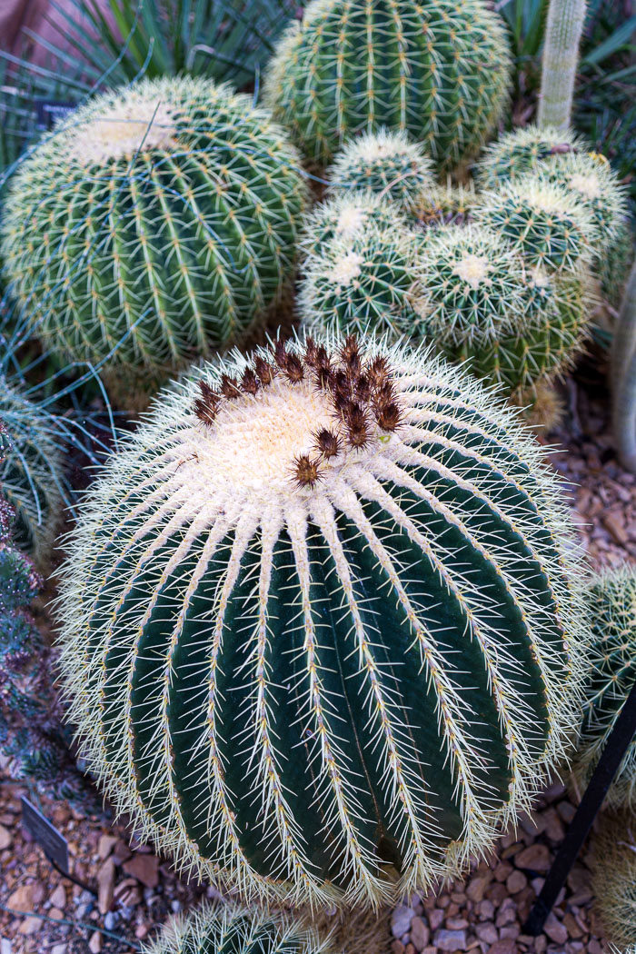 Mitchell Park Domes Mitchell Park Domes