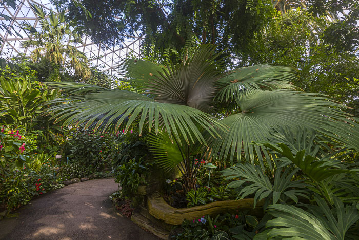 Mitchell Park Domes Mitchell Park Domes