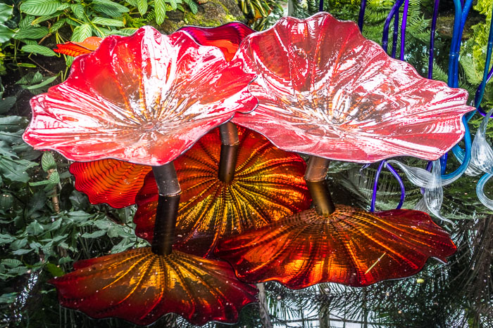 New York Botanical Gardens New York Botanical Gardens