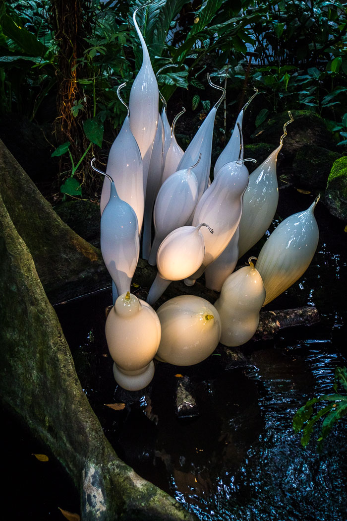 New York Botanical Gardens