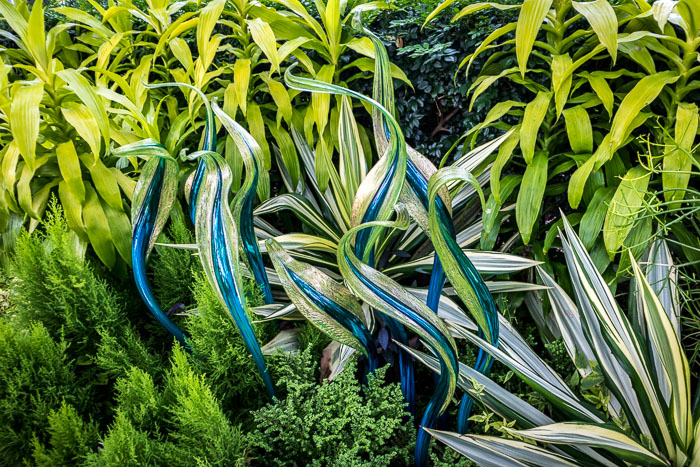 New York Botanical Gardens New York Botanical Gardens