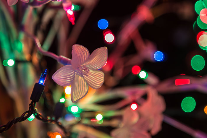 Holiday Lights Holiday Lights
