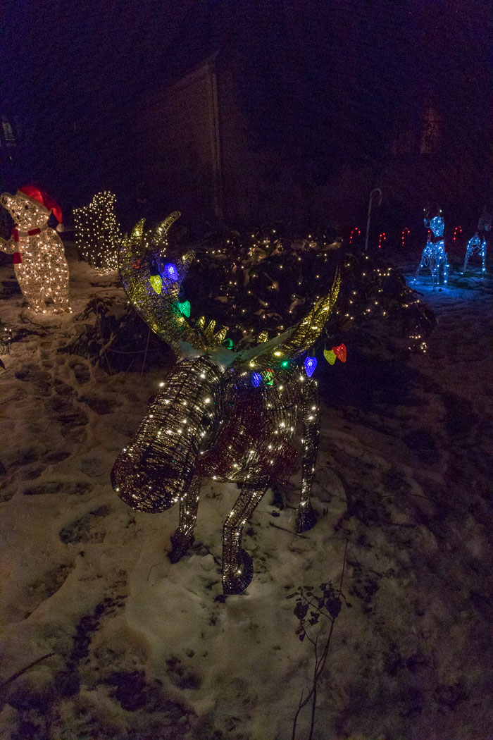Holiday Lights Holiday Lights