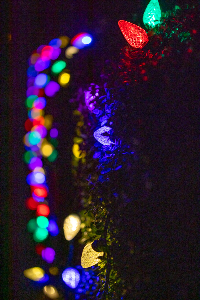 Holiday Lights