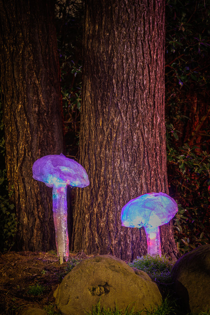 PDXlights PDXlights