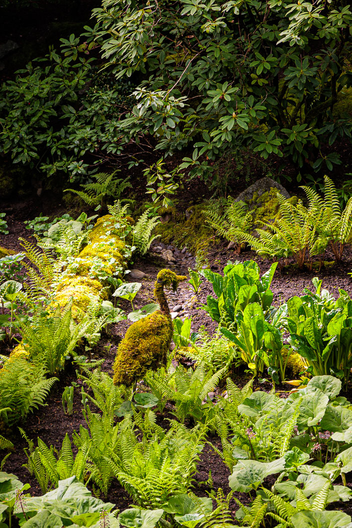 Buchart Gardens