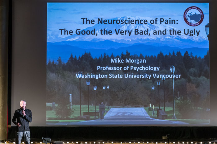 20170614 The Neuroscience of Pain