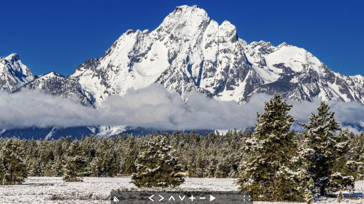 Moran Junction under Snow, Grand Tetons N.P.